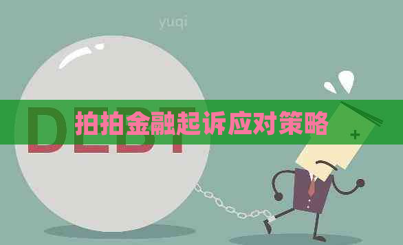 拍拍金融起诉应对策略