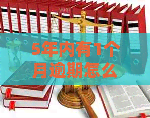 5年内有1个月逾期怎么处理