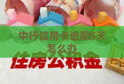 中行信用卡逾期5天怎么办