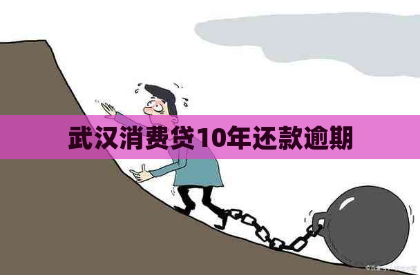 武汉消费贷10年还款逾期
