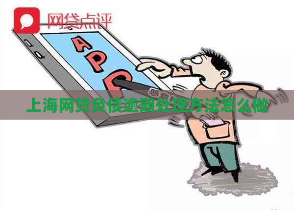 上海网贷负债逾期处理方法怎么做