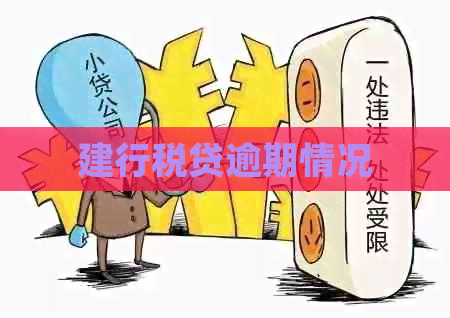 建行税贷逾期情况