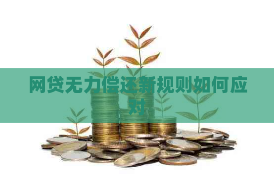 网贷无力偿还新规则如何应对