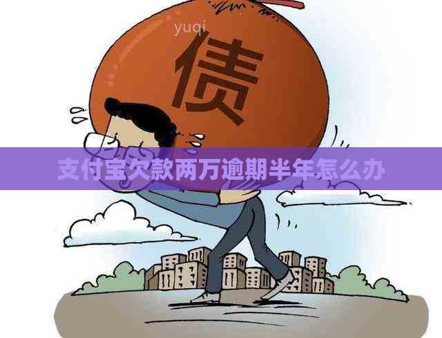 信用卡欠款两万逾期半年怎么办