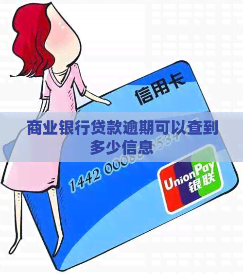 商业银行贷款逾期可以查到多少信息