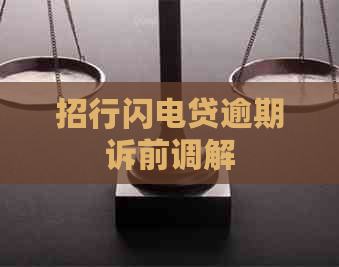 招行闪电贷逾期诉前调解