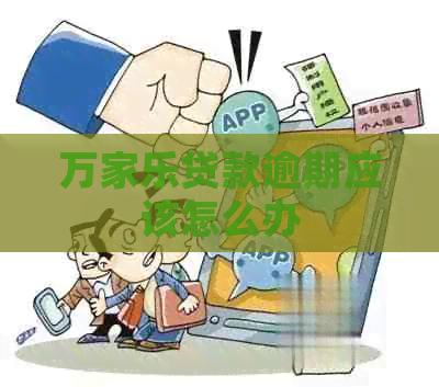 万家乐贷款逾期应该怎么办