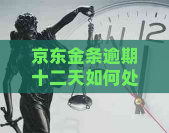 京东金条逾期十二天如何处理