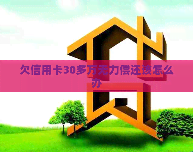 欠信用卡30多万无力偿还该怎么办