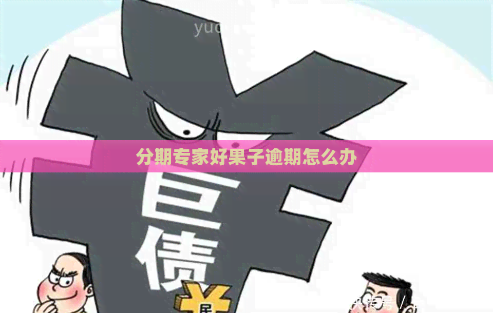 分期专家好果子逾期怎么办
