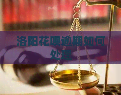 洛阳白条逾期如何处理