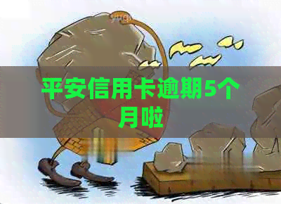 平安信用卡逾期5个月啦