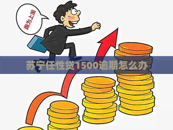 苏宁任性贷1500逾期怎么办