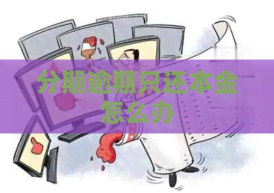 分期逾期只还本金怎么办