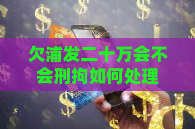 欠浦发二十万会不会刑拘如何处理