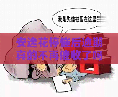安逸花停催后逾期真的不再了吗