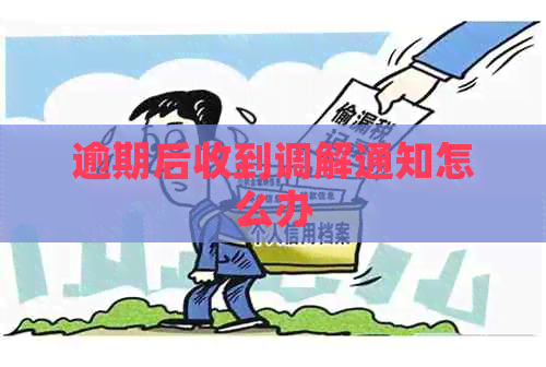 逾期后收到调解通知怎么办