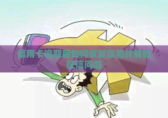 信用卡逾期后如何恢复信用并解除问题
