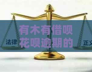 有木有信用卡白条逾期的解决方法