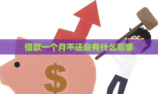 借款一个月不还会有什么后果