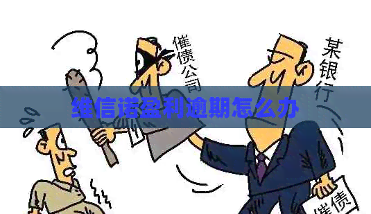 维信诺盈利逾期怎么办