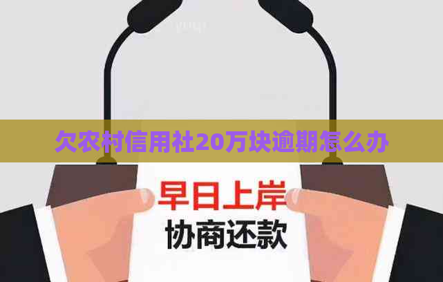 欠农村信用社20万块逾期怎么办
