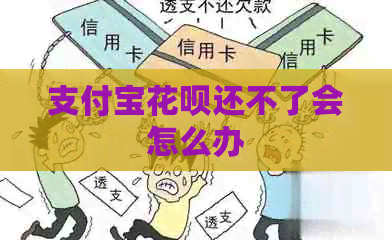 信用卡白条还不了会怎么办