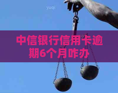 中信银行信用卡逾期6个月咋办