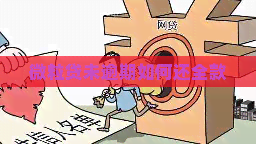 微粒贷未逾期如何还全款