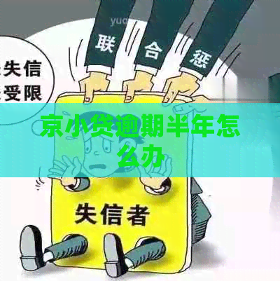 京小贷逾期半年怎么办