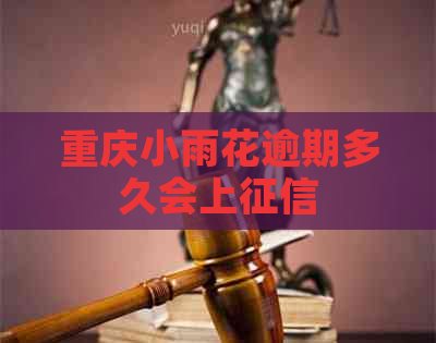 重庆小雨花逾期多久会上