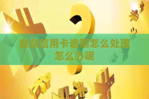 金条信用卡逾期怎么处理怎么办呢