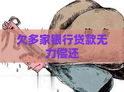 欠多家银行贷款无力偿还