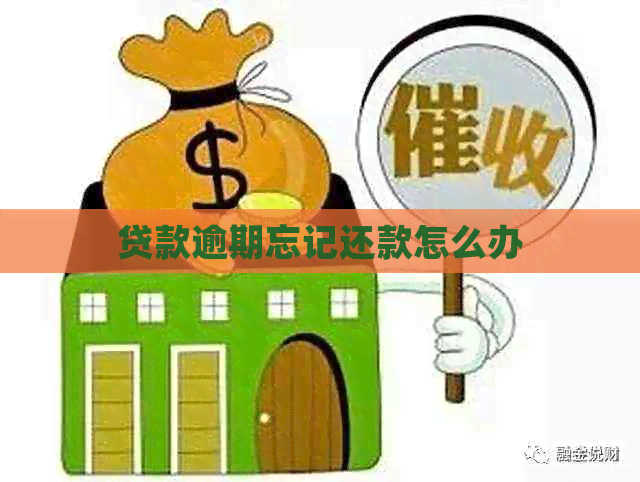 贷款逾期忘记还款怎么办