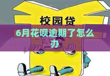 6月白条逾期了怎么办