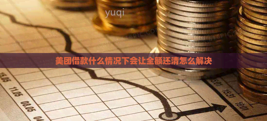 美团借款什么情况下会让全额还清怎么解决