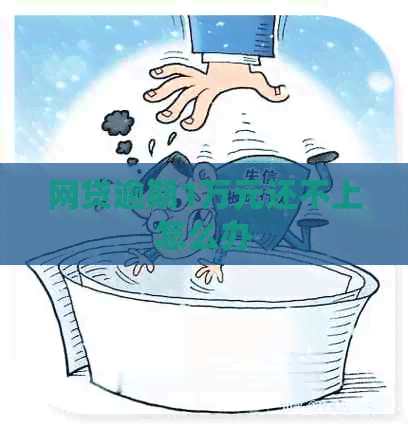 网贷逾期1万元还不上怎么办