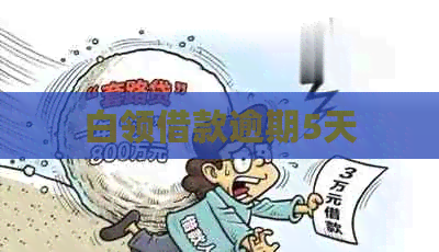 白领借款逾期5天