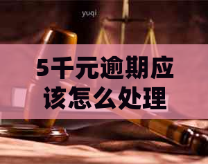 5千元逾期应该怎么处理