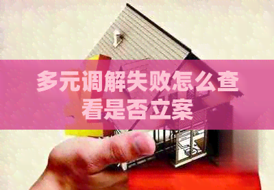 多元调解失败怎么查看是否立案