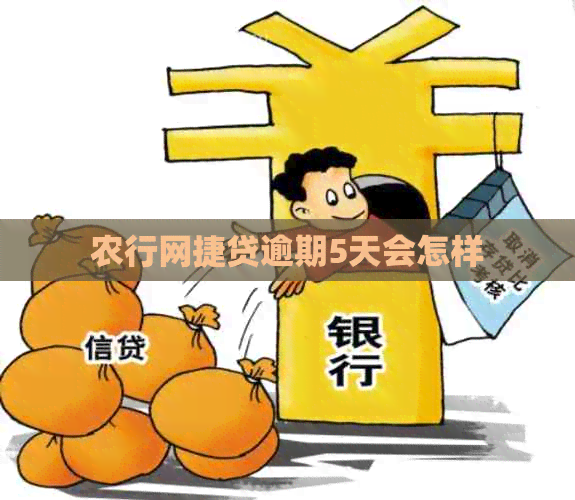 农行网捷贷逾期5天会怎样