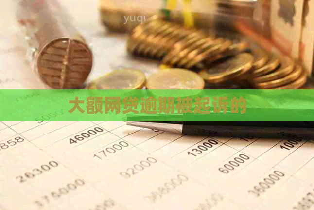大额网贷逾期被起诉的
