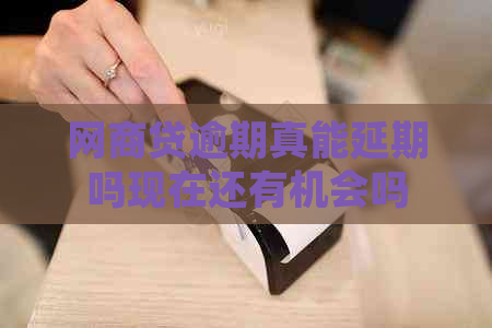 白条贷逾期真能延期吗现在还有机会吗