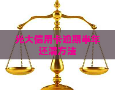 光大信用卡逾期半年还清方法