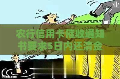 农行信用卡通知书要求5日内还清金额