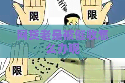 网贷老是被怎么办呢