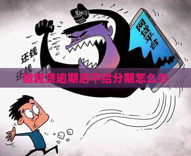 微粒贷逾期后不给分期怎么办