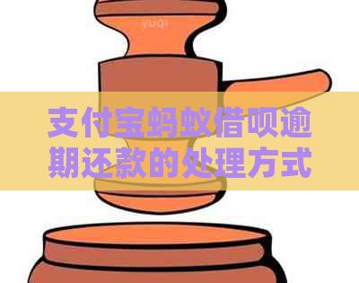 信用卡蚂蚁信用卡逾期还款的处理方式