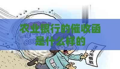 农业银行的函是什么样的