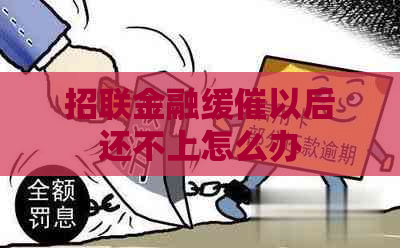 招联金融缓催以后还不上怎么办